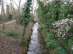 P2019DSCF2117	The River Hogsmill in West Ewell.