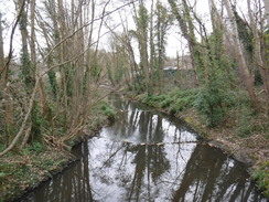 P2019DSCF2130	Following the River Hogsmill towards Old malden.