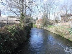 P2019DSCF2166	The Hogsmill River in Kingston Upon Thames.