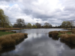 P2019DSCF2206	A lake in Bushy Park.