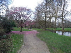 P2019DSCF2233	Following the Longford River through Bushy Park.