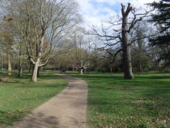 P2019DSCF2239	Following the Longford River through Bushy Park.