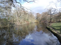 P2019DSCF2244	Following the Longford River through Bushy Park.