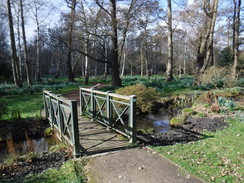 P2019DSCF2251	Following the Longford River through Bushy Park.