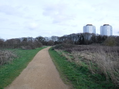 P2019DSCF2306	A path across Hounslow Heath.