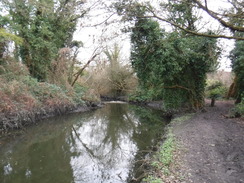 P2019DSCF2320	The River Crane near Baber Bridge.