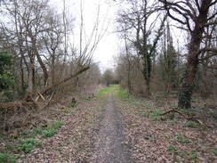 P2019DSCF2349	The path beside the River Crane between the A312 and the A30.