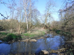 P2019DSCF2373	The River Crane at Cranebank.