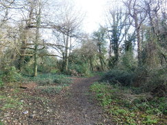 P2019DSCF2385	Following the trail north towards Cranford Countryside Park.