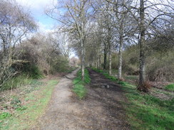 P2019DSCF2431	The path leading north past the business park.