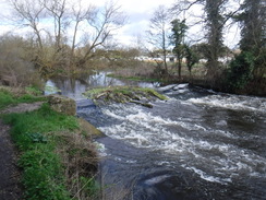 P2019DSCF2480	The River Colne near Cowley.