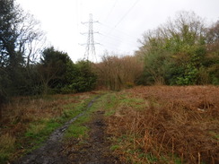 P2019DSCF2610	The path through Bishop's Wood Country Park.