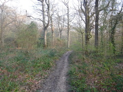 P2019DSCF2661	A path heading south through Oxhey Woods.