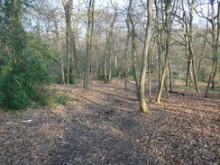 P2019DSCF2670	A path heading southeastwards through Oxhey Woods.