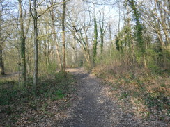 P2019DSCF2675	A path heading east through Oxhey Woods.