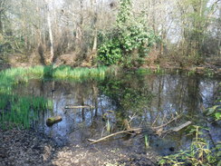 P2019DSCF2706	The pond in which Sir William Gilbert drowned.