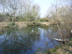 P2019DSCF2734	A lake to the south of Warren Lane in Stanmore.