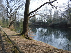 P2019DSCF2738	A lake to the south of Warren Lane in Stanmore.