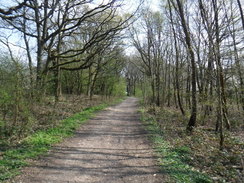 P2019DSCF2776	The path heading southeast through Scratch Wood.