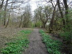 P2019DSCF2787	The path heading southeast through Scratch Wood.