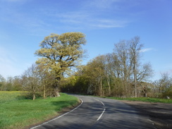 P2019DSCF2867	The road heading north from Huntingdon to Abbots Ripton.