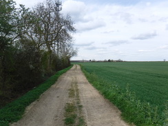 P2019DSCF3001	The track between Coppingford and Upton.