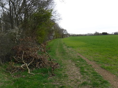 P2019DSCF3010	The track between Coppingford and Upton.