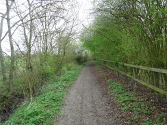 P2019DSCF3012	The track between Coppingford and Upton.