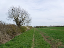 P2019DSCF3071	Following the path east out of Alconbury.