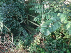 P2019DSCF3153	An impassable footpath near Nether Headon.