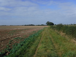 P2019DSCF3182	The path leading to the old railway line at Marnham.