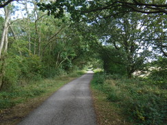 P2019DSCF3253	Following the cycle path east towards Skellingthorpe.
