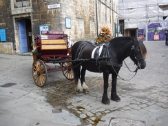 P2019DSCF3306	A horse and cart outside Lincoln Castle.