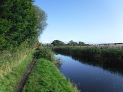 P2019DSCF3445	Following the canal west from Burscough.