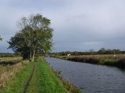 P2019DSCF3462	The canal to the southwest of Pinfold.