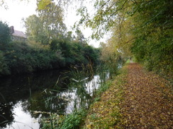 P2019DSCF3569	The canal in Buckley Hill.