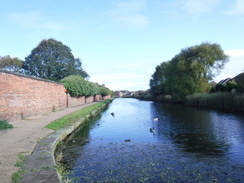 P2019DSCF3593	The canal in Bootle.