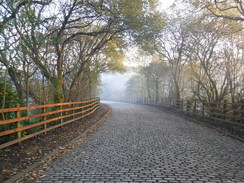 Walk 1047