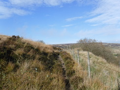 P2019DSCF4167	Following the edge of the moor northwestwards towards Duckshaw Brook.