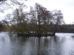 P2020DSCF4540	Wollaton Park Lake.