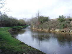 P2020DSCF4782	The canal near Blackburn Meadows.