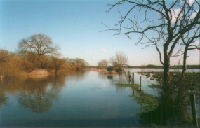 G14	Flood waters on the path. This little section was knee deep.