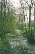 L06	The River Yeo at South Heal.