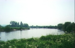 N14	Looking along the Trent from 5258 3432 near Barton Island.