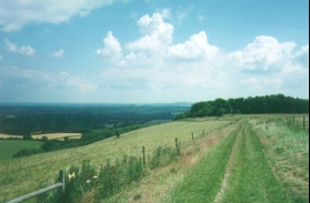 Looking east along Wayfarers walk.