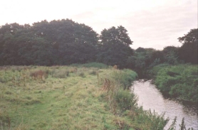 Q15	Photo along Gipping Valley River Path near Creeting Hall.