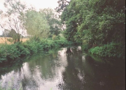 Q16	Photo along Gipping Valley River Path near Creeting Hall.