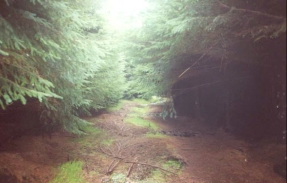 T29	The path through the forest north of Dollar in the Ochil Hills.