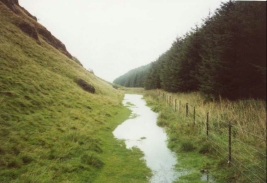 T30	The path becomes a stream on the descent to Glenquey Reservoir.