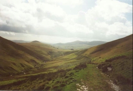 T35	Looking south from the ascent up Borland Glen.